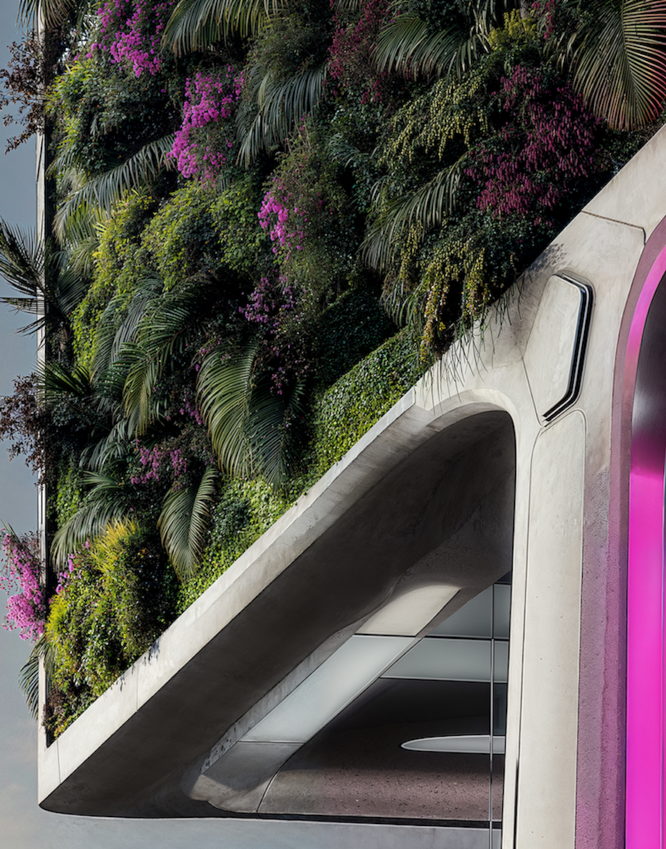 Imagen de naturaleza y edificio